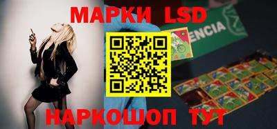 шишки Тверь