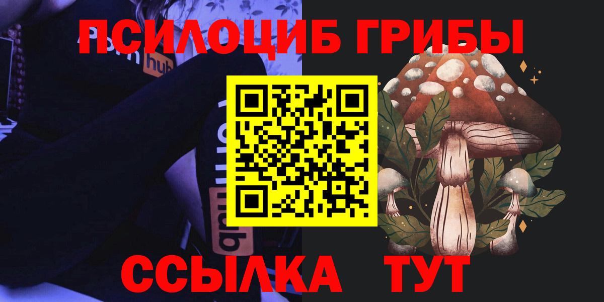 Псилоцибиновые грибы Psilocybe Рубцовск