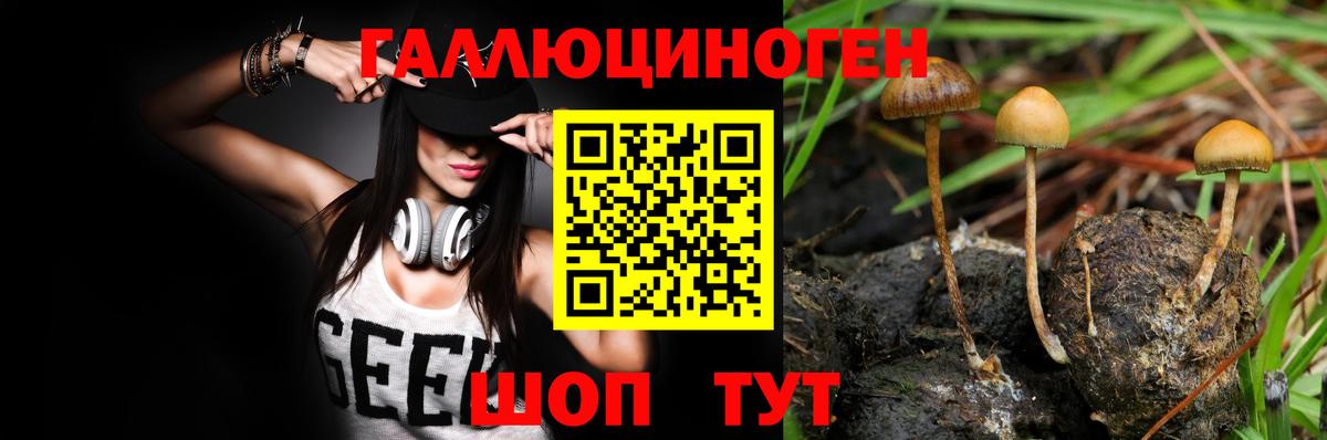 закладки  Галлюциногенные грибы Psilocybine cubensis  Вход с VPN  Рубцовск 